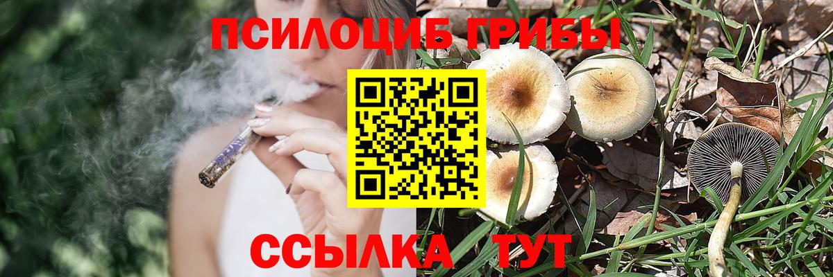 Галлюциногенные грибы GOLDEN TEACHER  Вход с VPN  Елец 